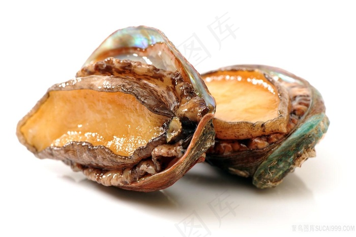 海鲜鲍鱼海鲜图片