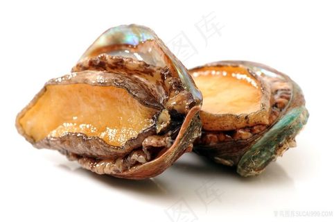 海鲜鲍鱼海鲜图片