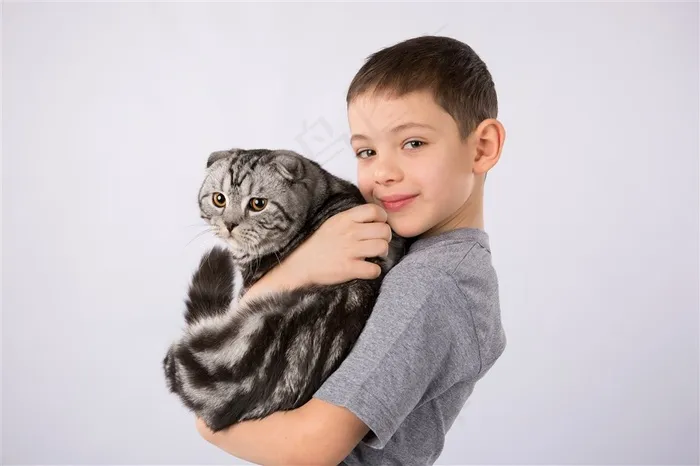 抱着猫咪的小男孩高清图片