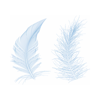 羽毛免扣素材状好似蓝色