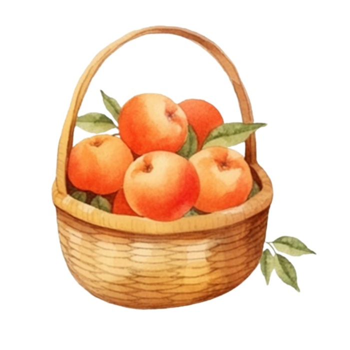 一篮桃子水蜜桃水果插画免抠