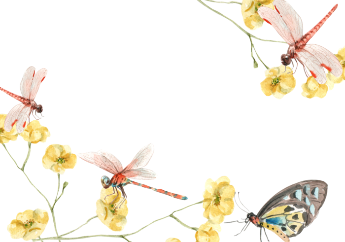 插画春鸟免抠素材