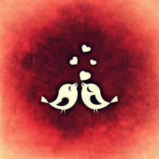 爱情鸟卡通图片