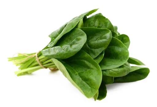 菠菜免抠(700x479)