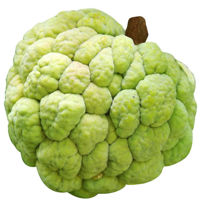 水果蔬菜外国