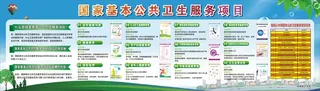 国家基本公共卫生服务项目