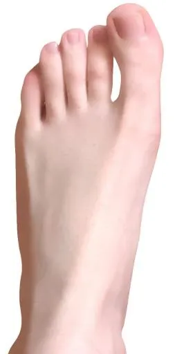 赤脚 PNG免抠(612x1162)