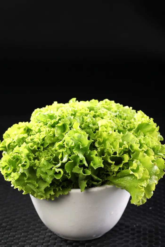 生芽