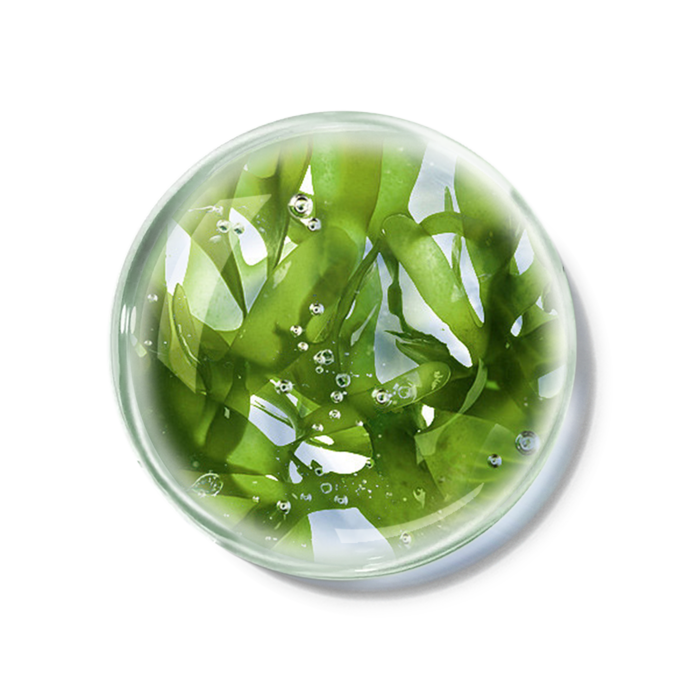 化妆品产品成分—水前寺紫菜多糖 免抠图