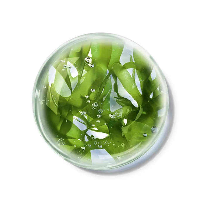 化妆品产品成分—水前寺紫菜多糖 免抠图
