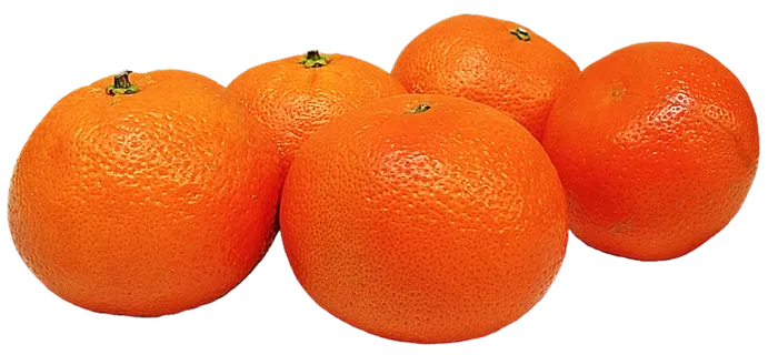 西红柿红色蔬菜