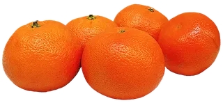 西红柿红色蔬菜