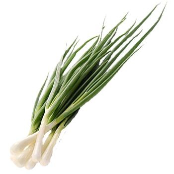 韭菜免抠(350x350)