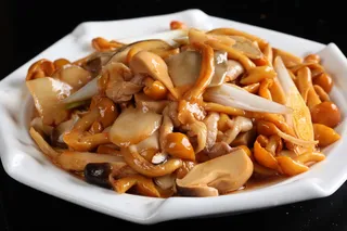 R01328大葱烧三菌