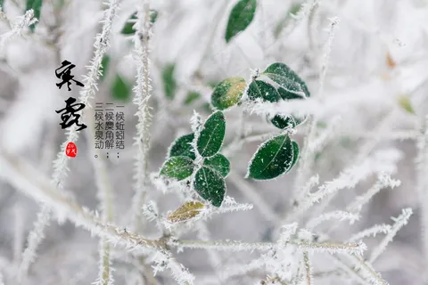 冬至节气图片 冬至节气图片