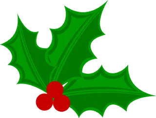 三片叶子与红果实