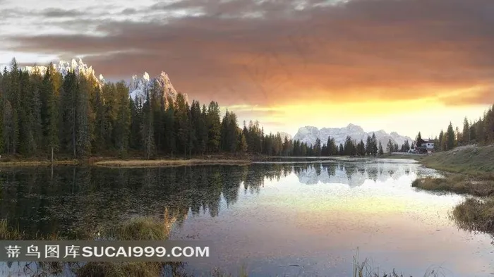 阿尔卑斯山森林湖泊美景