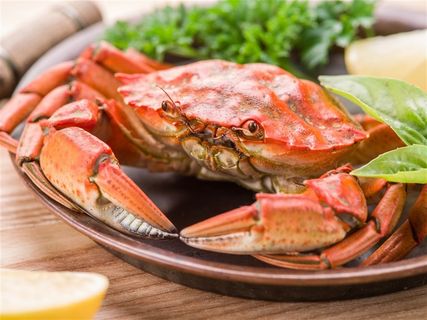 盘子里煮熟的大闸蟹高清图片