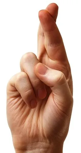 手指 PNG免抠(281x529)