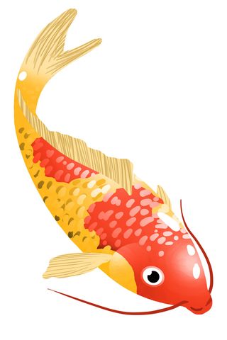 手绘烫金国潮中国风卡通锦鲤鱼金鱼插画装饰元素PSD设计素材