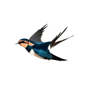 大雁燕子鸟免抠