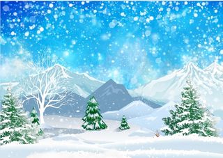 圣诞节松树白色风景背景墙