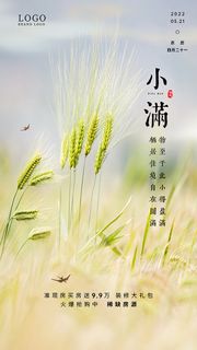 小满节气移动端广告