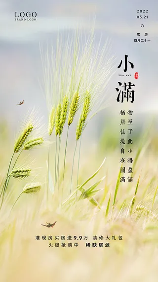 小满节气移动端广告