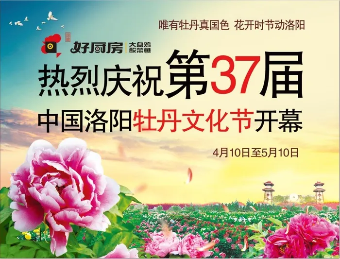 牡丹花会海报psd模版下载