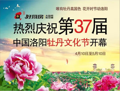 牡丹花会海报 牡丹花会海报