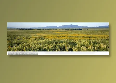 金黄的草地远处连绵的山峰