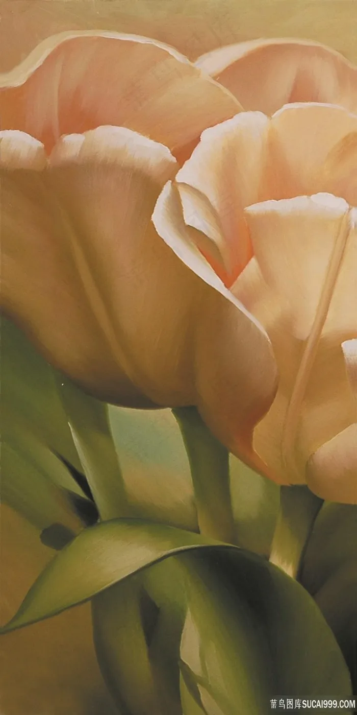 高清植物花卉艺术油画