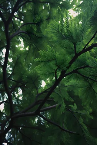 树枝绿色质感摄影