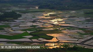 湖北乌龙泉水田风景素材