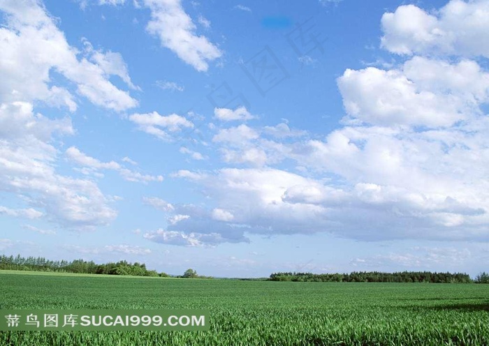 陆地旷野白云绿色