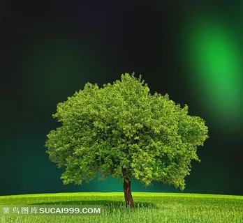 草地树木图片素材下载 草地树木图片素材下载