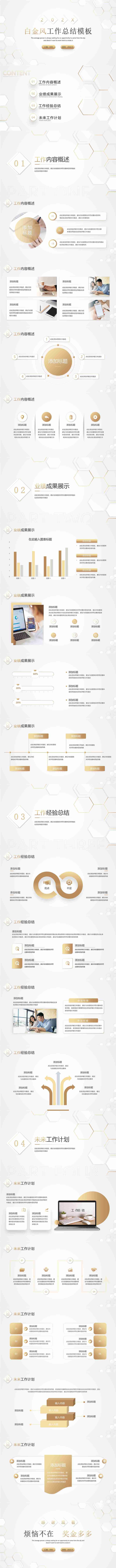 白金风工作总结汇报PPT模板