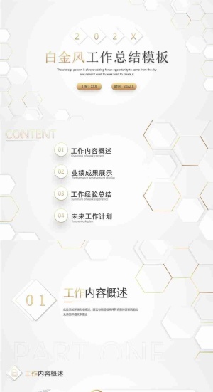 白金风工作总结汇报PPT模板预览图