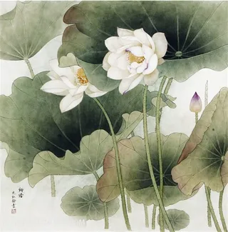 工笔画莲花中式装饰画插画