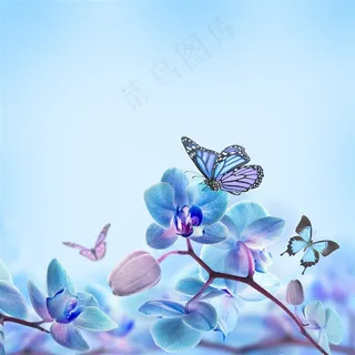 蝴蝶花背景素材