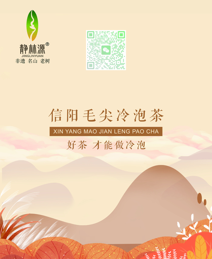信阳毛尖冷泡茶 好茶才能做冷泡ai矢量模版下载