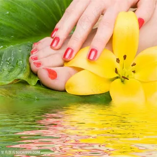 足浴足道足底按摩推拿泡脚修脚黄色花朵水纹