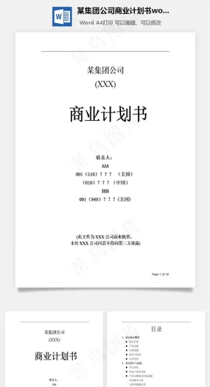 某集团公司商业计划书word文档