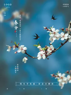 春分节气唯美海报