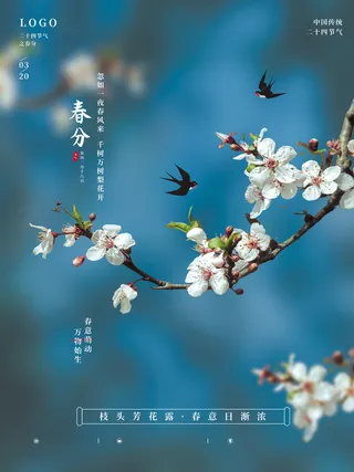 春分节气唯美海报