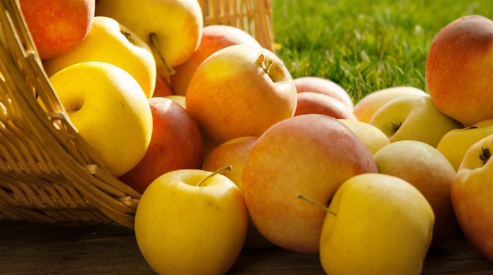 果园里摘的苹果