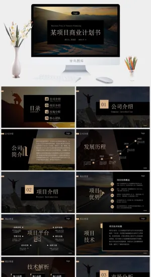 大气金色企业项目商业计划书ppt模板预览图
