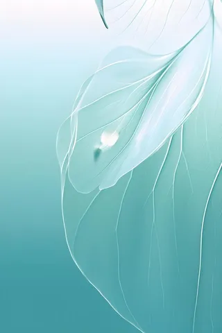 树叶露珠青色大气意境背景
