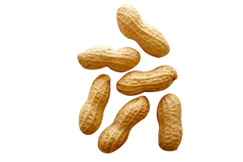 免扣png花生 