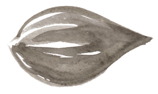 唯美森系手绘水彩花朵 免抠